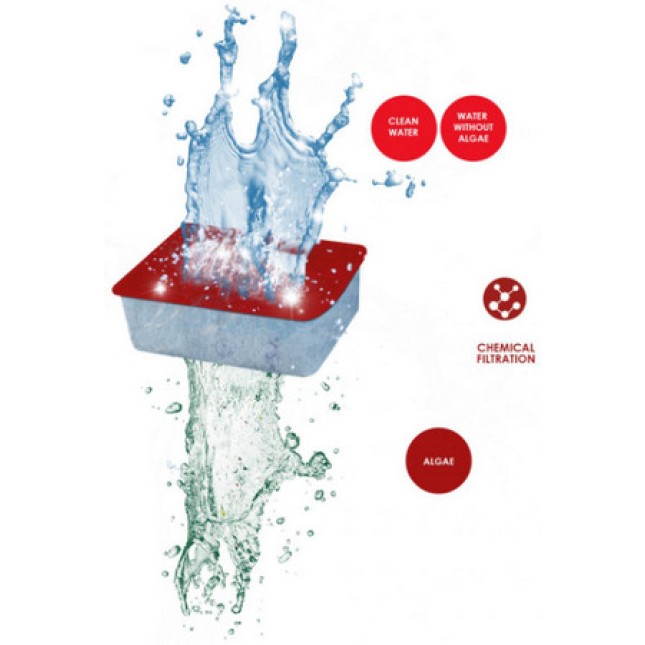 Ciano Ciano Water Algae κόκκινο για την καταπολέμηση των φυκιών του ενυδρείου σας Ciano Ciano Water Algae κόκκινο για την καταπολέμηση των φυκιών του ενυδρείου σας