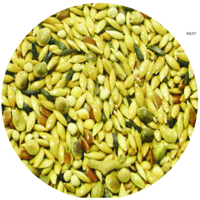 Professional mix τροφή φωνής Pro-Mix 1 για καναρίνια 1kg Professional mix τροφή φωνής Pro-Mix 1 για καναρίνια 1kg