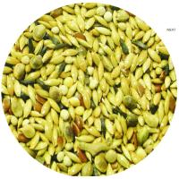 Professional mix τροφή φωνής Pro-Mix 1 20kg +2kg δώρο