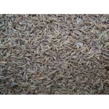 Αγκάθι Εισαγωγής, 500gr χύμα