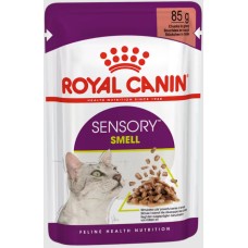 Royal Canin Πλήρης τροφή με κομματάκια σε σάλτσα για ενήλικες γάτες