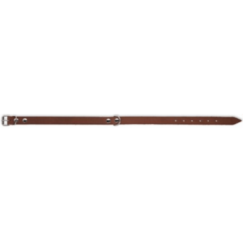 Kerbl κολάρο MEXICA taupe 18 mm, 34-42 cm Kerbl κολάρο MEXICA taupe 18 mm, 34-42 cm