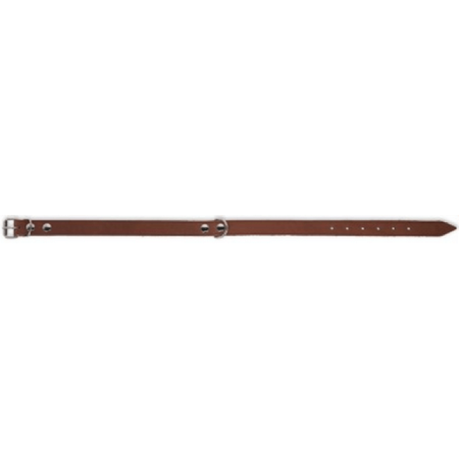 Kerbl κολάρο MEXICA taupe 20 mm, 41-51 cm Kerbl κολάρο MEXICA taupe 20 mm, 41-51 cm
