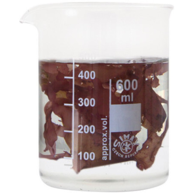 Aquarium systems κόκκινο φύκι τροφή για θαλάσσια ψάρια 15gr Aquarium systems κόκκινο φύκι τροφή για θαλάσσια ψάρια 15gr