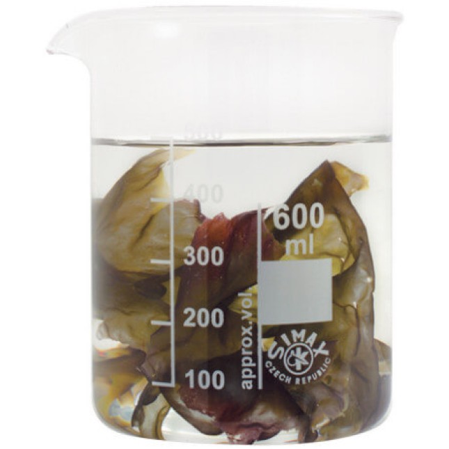 Aquarium systems πράσινο φύκι τροφή για θαλάσσια ψάρια 15gr Aquarium systems πράσινο φύκι τροφή για θαλάσσια ψάρια 15gr