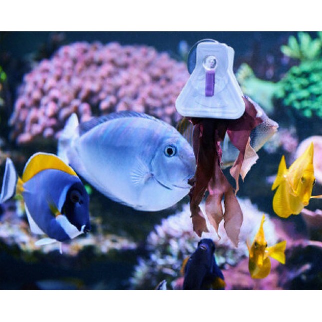 Aquarium systems food clips για να στερεώσετε διάφορες φυσικές τροφές ψαριών στο πλάι του ενυδρείου Aquarium systems food clips για να στερεώσετε διάφορες φυσικές τροφές ψαριών στο πλάι του ενυδρείου