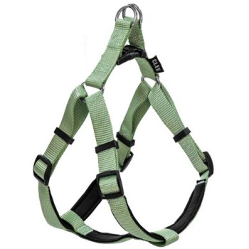 Glee Σαμαράκι Neoprene Teal XS 10mmx25cm-36cm Glee Σαμαράκι Neoprene Teal XS 10mmx25cm-36cm