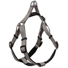 Glee Σαμαράκι Neoprene γκρι XS 10mmx25cm-36cm Glee Σαμαράκι Neoprene γκρι XS 10mmx25cm-36cm