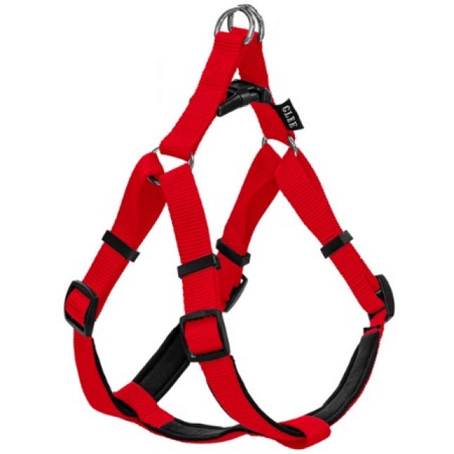 Glee Σαμαράκι Neoprene κόκκινο M 20mmx56-66cm Glee Σαμαράκι Neoprene κόκκινο M 20mmx56-66cm