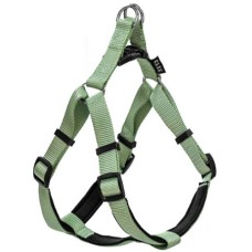 Glee Σαμαράκι Neoprene Teal M 20mmx56-66cm Glee Σαμαράκι Neoprene Teal M 20mmx56-66cm