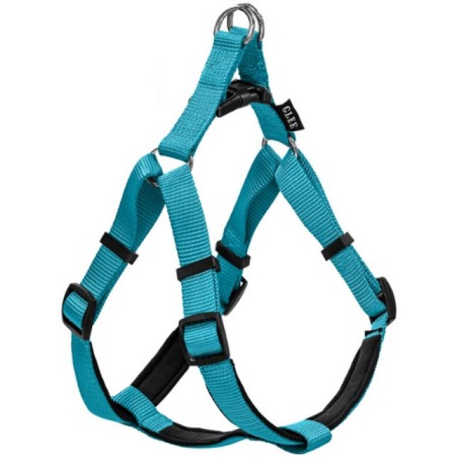 Glee Σαμαράκι Neoprene γαλάζιο L 25mmx71-81cm