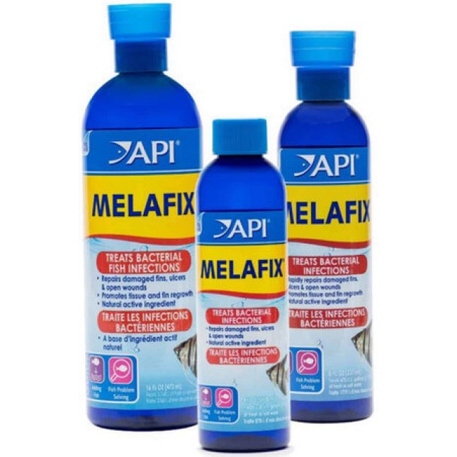API melafix φυσική θεραπεία και η προστασία κατά των βακτηριακών λοιμώξεων