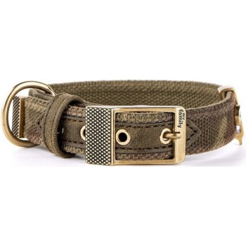 My family West Point περιλαίμιο 22-30 cm/1,6 cm πράσινο S My family West Point περιλαίμιο 22-30 cm/1,6 cm πράσινο S