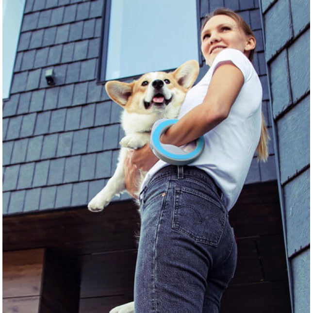 Wau Dog οδηγός επαναφοράς Ring-shaped, xs-m, 40 kg, 2,9 m μπλε Wau Dog οδηγός επαναφοράς Ring-shaped, xs-m, 40 kg, 2,9 m μπλε