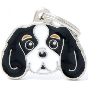 Myfamily Ταυτότητα Friends Cavalier King Charles 3χρωμο onesize Myfamily Ταυτότητα Friends Cavalier King Charles 3χρωμο onesize