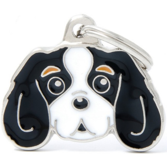 Myfamily Ταυτότητα Friends Cavalier King Charles 3χρωμο onesize Myfamily Ταυτότητα Friends Cavalier King Charles 3χρωμο onesize