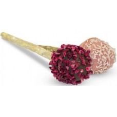 Blue Tree candy bar λιχουδιά cheesie pops προσφέρει στον σκύλο σας πολύωρη απόλαυση μάσησης! Blue Tree candy bar λιχουδιά cheesie pops προσφέρει στον σκύλο σας πολύωρη απόλαυση μάσησης!