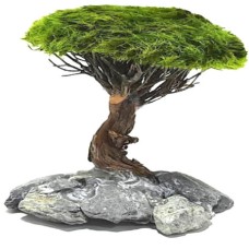 Διακοσμητικό δέντρο ενυδρείου Marimo Tree Figure  M 14-19cm