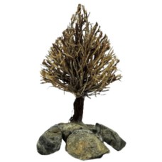 Διακοσμητικό δέντρο ενυδρείου Tree Figure Pine M 14-19cm