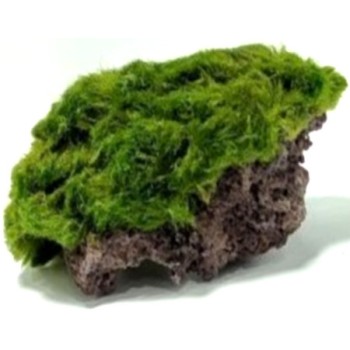 Διακοσμητική πέτρα ενυδρείου Marimo Rock L 13-16cm Διακοσμητική πέτρα ενυδρείου Marimo Rock L 13-16cm