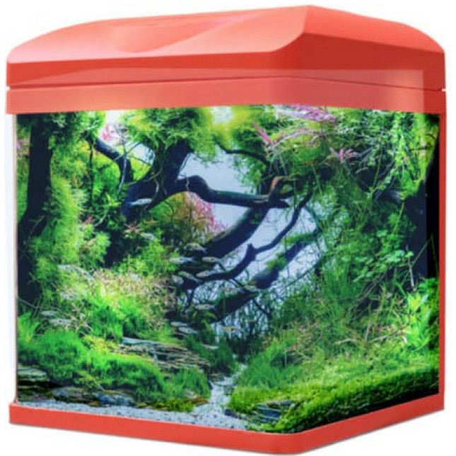 Amtra ενυδρείο laguna 30 Κοραλί 30x23,5x34,5cm / 18 λίτρα Amtra ενυδρείο laguna 30 Κοραλί 30x23,5x34,5cm / 18 λίτρα