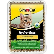 Gimcat hydro γρασίδι Άμεσης Ανάπτυξης 1 πότισμα χωρίς gmo διευκολύνεται η αποβολή της τριχόμπαλας