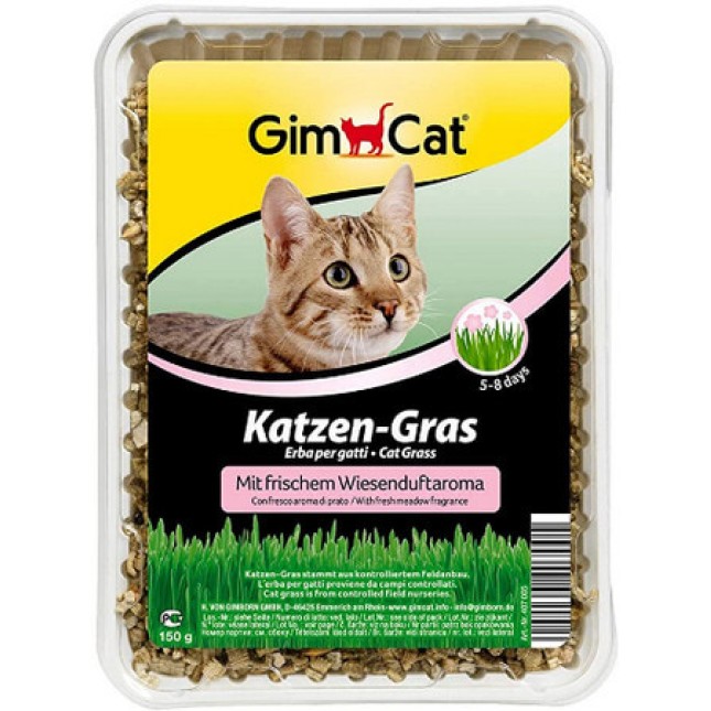 Gimcat γρασίδι για γάτες μια ιδιαίτερη απόλαυση και έτσι διευκολύνεται η αποβολή της τριχόμπαλας
