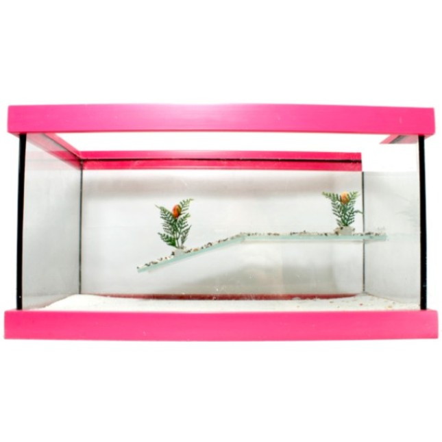 GCF Χελωνιέρα γυάλινη 40x20x20cm GCF Χελωνιέρα γυάλινη 40x20x20cm