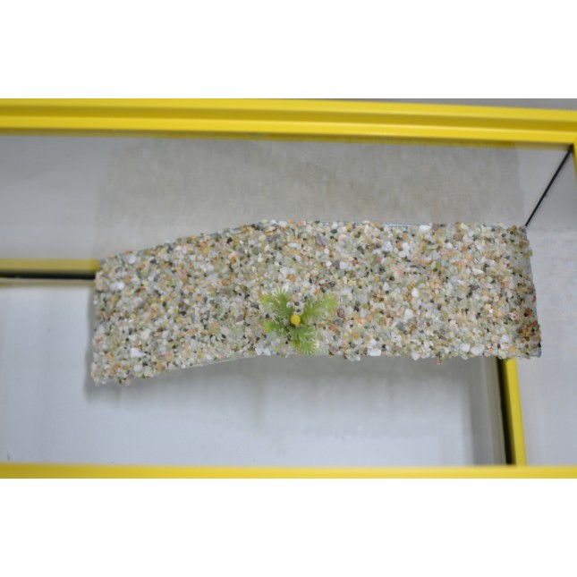 GCF Χελωνιέρα γυάλινη 40x20x20cm GCF Χελωνιέρα γυάλινη 40x20x20cm