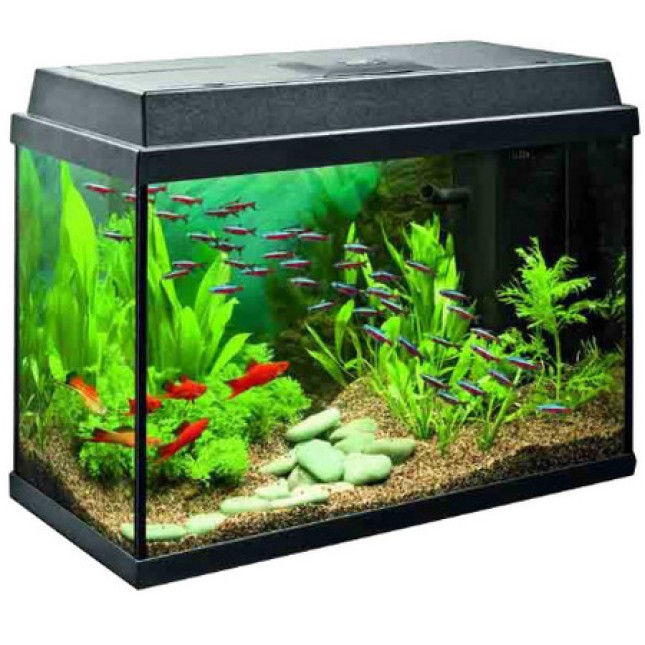 GCF Ενυδρείο με καπάκι μικρό 30x15x22cm GCF Ενυδρείο με καπάκι μικρό 30x15x22cm