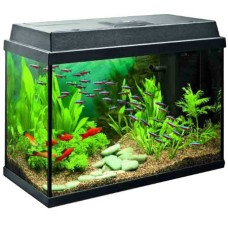 GCF Ενυδρείο με καπάκι μεσαίο 32,5x16,5x27,5cm GCF Ενυδρείο με καπάκι μεσαίο 32,5x16,5x27,5cm