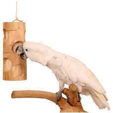 Μεγάλο Ole Bird Kabob φυσικό παιχνίδι παπαγάλου από ξύλου αγάυης, δεν θα σταματήσει να το δαγκώνει!
