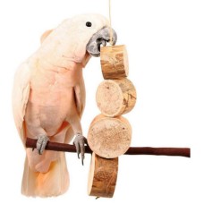 Τεράστιο Bird Kabob φυσικό παιχνίδι παπαγάλου, ιδανικό για τα μεγαλύτερα ράμφη παπαγάλων.