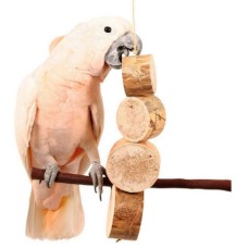 Τεράστιο Bird Kabob φυσικό παιχνίδι παπαγάλου, ιδανικό για τα μεγαλύτερα ράμφη παπαγάλων. Τεράστιο Bird Kabob φυσικό παιχνίδι παπαγάλου, ιδανικό για τα μεγαλύτερα ράμφη παπαγάλων.