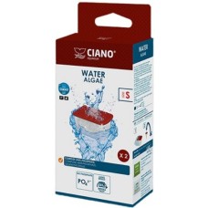 Ciano Ciano Water Algae Ciano Ciano Water Algae