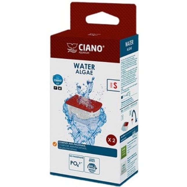 Ciano Ciano Water Algae Ciano Ciano Water Algae