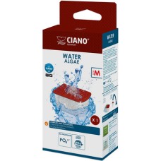 Ciano Ciano Water Algae Ciano Ciano Water Algae