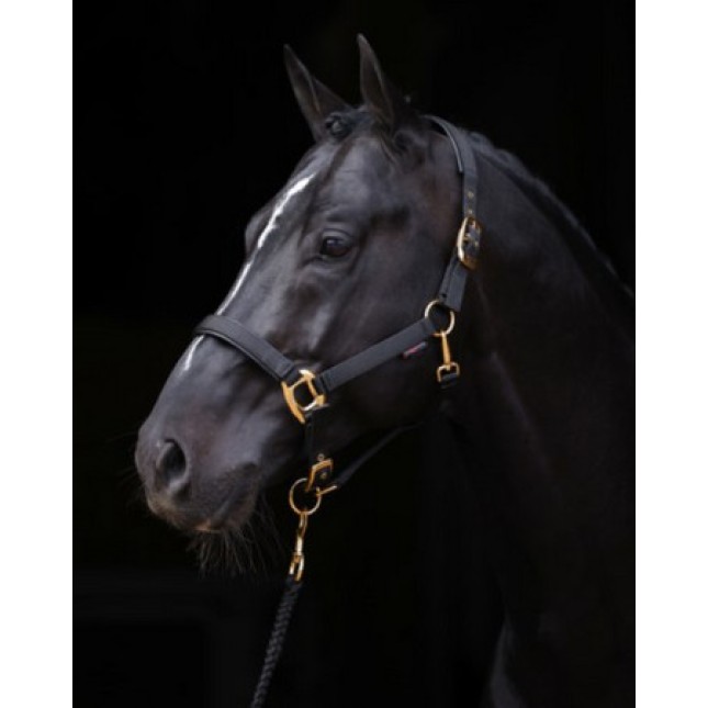 Kerbl Hatler Topline μαύρο καπίστρι pony