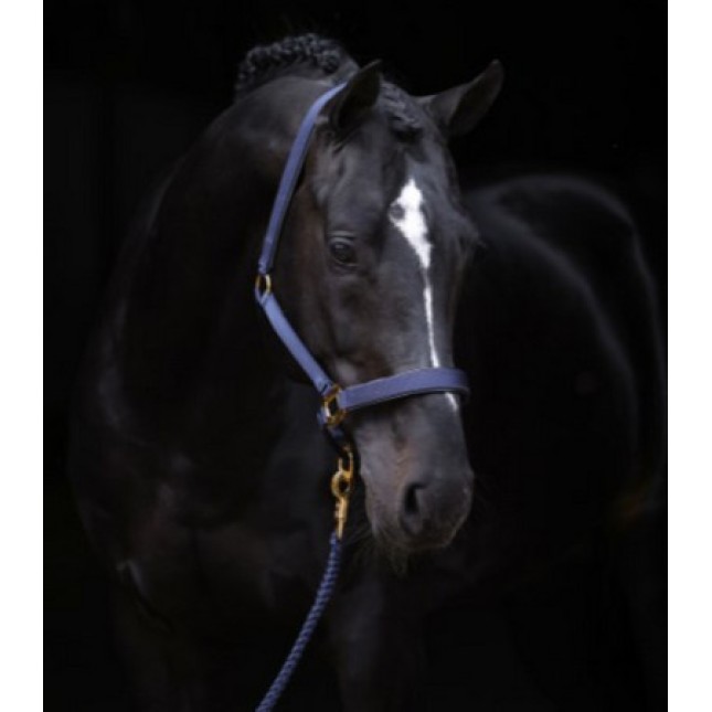 Kerbl Hatler Topline σκούρο μπλε καπίστρι pony