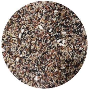 Professional mix Elite Carduelis B3 για αγριοπούλια όπως καρδερίνες Professional mix Elite Carduelis B3 για αγριοπούλια όπως καρδερίνες