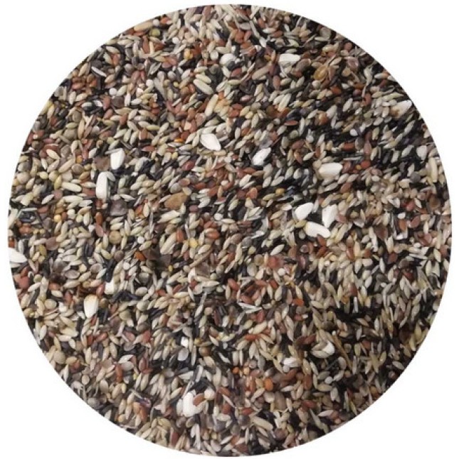 Professional mix Elite Carduelis B3 για αγριοπούλια όπως καρδερίνες Professional mix Elite Carduelis B3 για αγριοπούλια όπως καρδερίνες