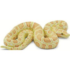 Burmese Python Albino Burmese Python Albino