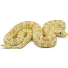 Burmese Python Albino