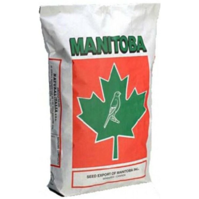 Manitoba Κελαϊδίνη T3 Oro χωρίς περίλα 1kg χύμα Manitoba Κελαϊδίνη T3 Oro χωρίς περίλα 1kg χύμα
