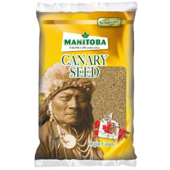 Manitoba Μεμονωμένοι Σπόροι Κεχρί Καναδά 5Kg Manitoba Μεμονωμένοι Σπόροι Κεχρί Καναδά 5Kg