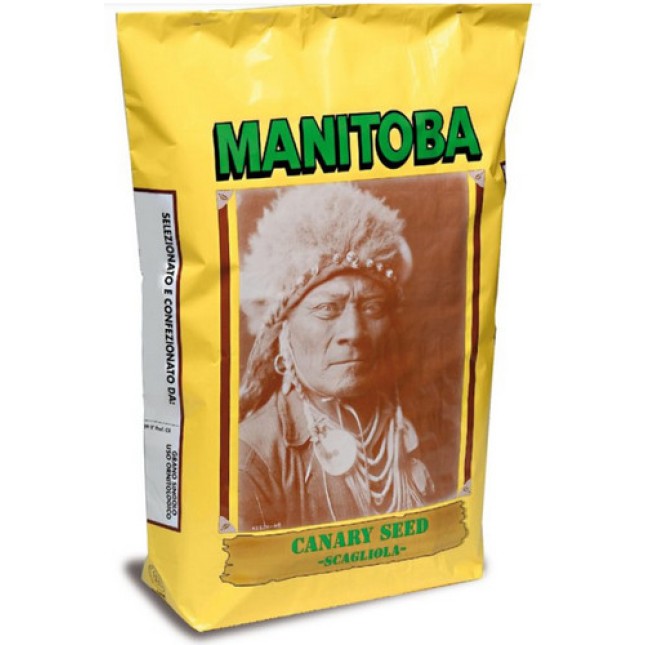 Manitoba Μεμονωμένοι Σπόροι Κεχρί Καναδά