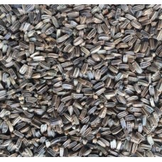 Manitoba Μεμονωμένοι σπόροι Cardo Selvatico (νεράγκαθου) 500g Manitoba Μεμονωμένοι σπόροι Cardo Selvatico (νεράγκαθου) 500g