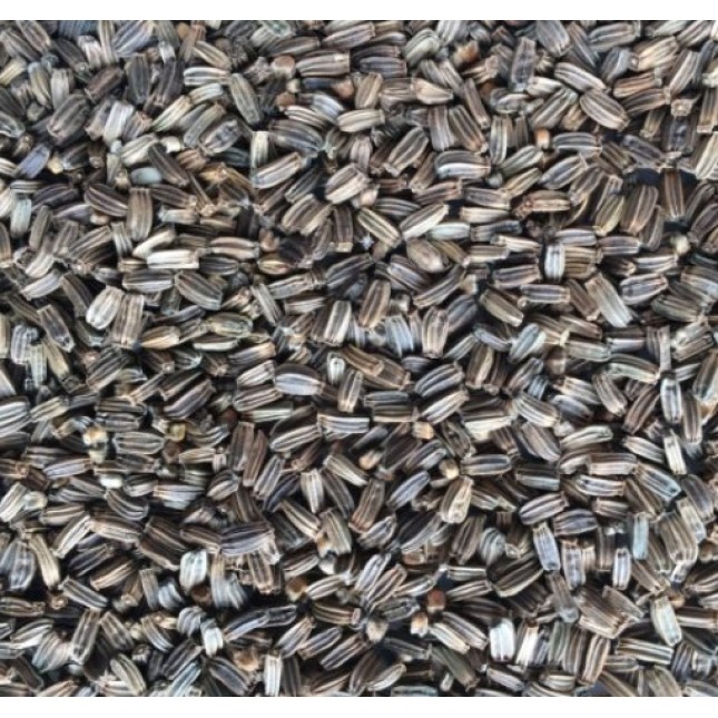 Manitoba Μεμονωμένοι σπόροι Cardo Selvatico (νεράγκαθου) 500g Manitoba Μεμονωμένοι σπόροι Cardo Selvatico (νεράγκαθου) 500g