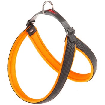 Ferplast σαμαράκι agila fluo πορτοκαλί 7 A=B 63-71 cm 25 mm Ferplast σαμαράκι agila fluo πορτοκαλί 7 A=B 63-71 cm 25 mm