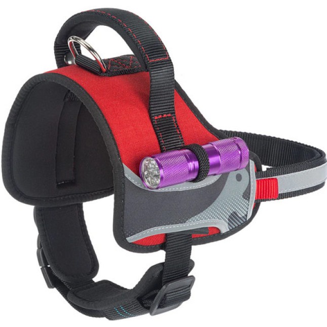 Ferplast hercules large σαμαράκι κόκκινο A: 54-65 cm B: 64-81 cm 40 mm Ferplast hercules large σαμαράκι κόκκινο A: 54-65 cm B: 64-81 cm 40 mm